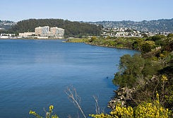 View of San Francisco Bay from Albany, California